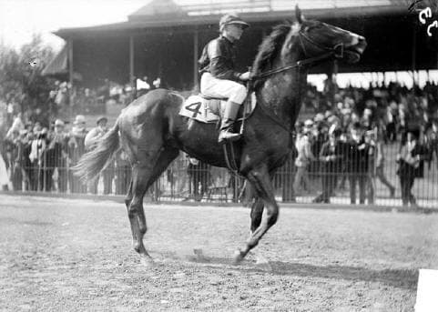 English Lad racehorse at Washington Park, Chicago