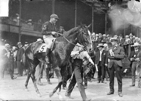 English Lad racehorse, Derby champion
